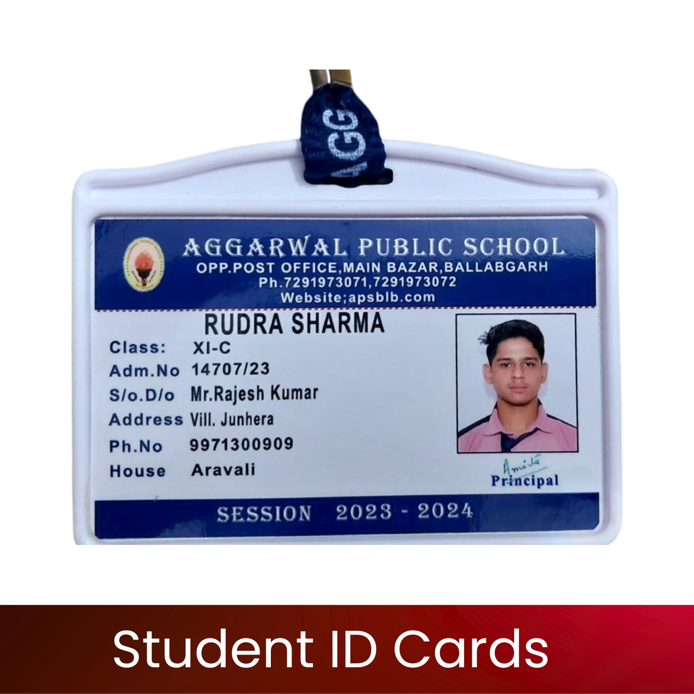 Student ID Cards | Custom PVC School & College ID Cards | Photo, Name, Class & Logo | Barcode/QR & Both Sides | Durable HD Print | Student ID Cards for Schools, Colleges & Institutes | Excel Print - Image 2